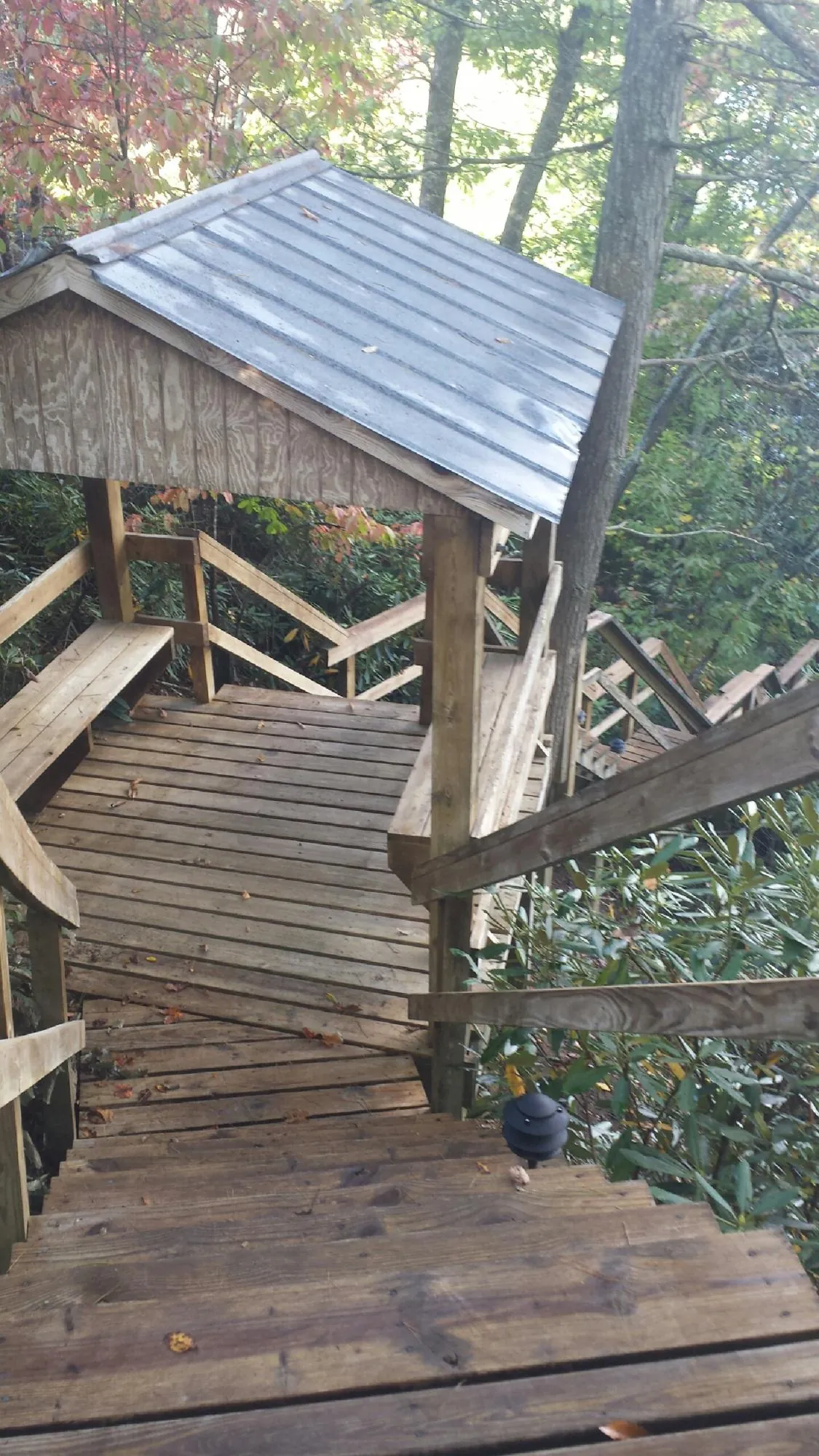 Metal roofed shelter over wooden steps on a wooded walkway — Skylight Repair & Installation work by our crew in Platina